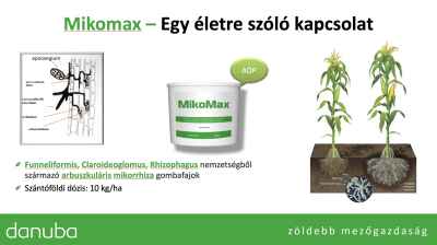 MikoMax szimbiózis